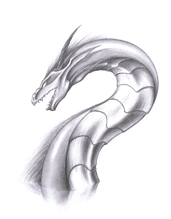 600x769 serpent drawing art drawing skill - Serpent Drawing