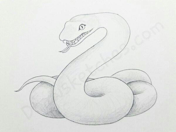 600x450 serpent drawing best drawing skill - Serpent Drawing