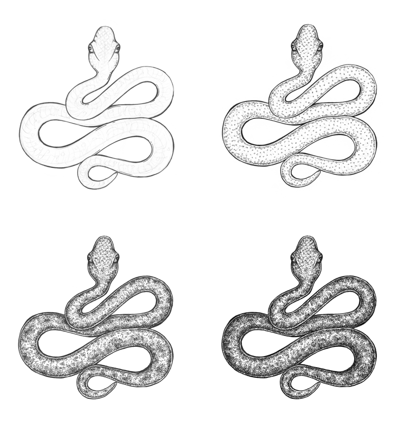 840x872 snake drawing pic drawing skill - Serpent Drawing