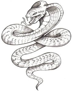 236x298 how to draw a snake wrapped around a arm - Serpent Drawing