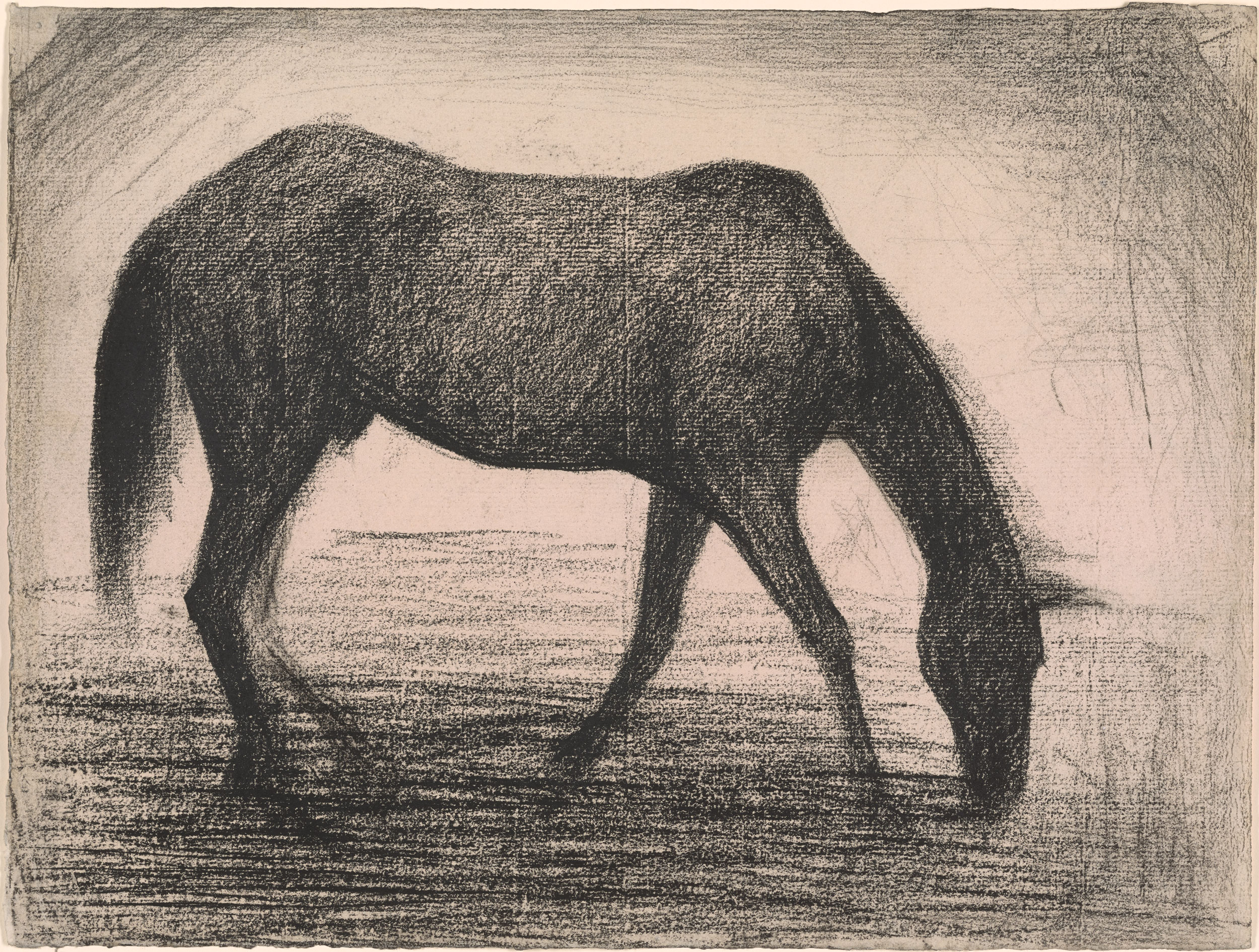 2500x1891 georges seurat the black horse drawings online the morgan - Seurat Drawings