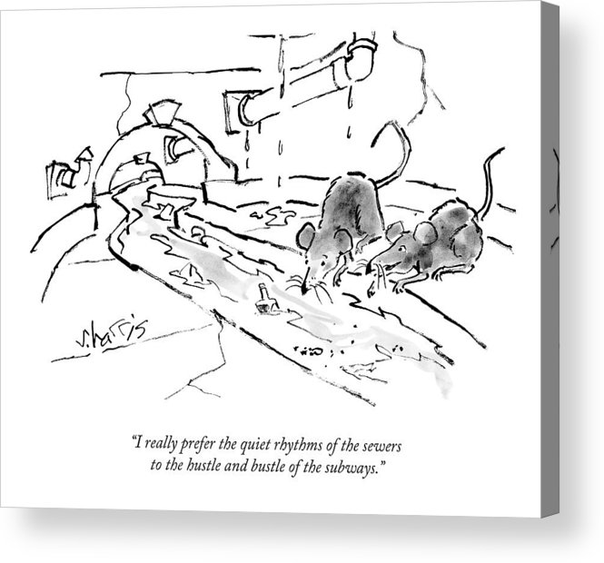 665x620 two rats in a sewer acrylic print - Sewer Drawing