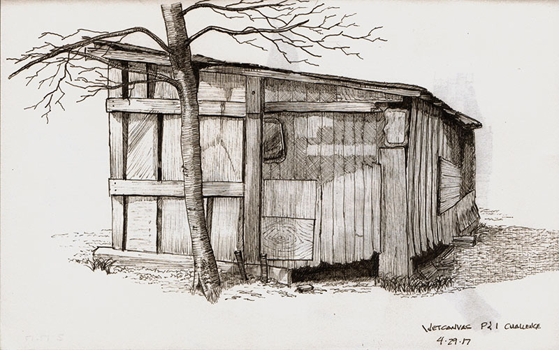 800x501 pen and ink drawing old shed drawings, photography, other - Shack Drawing