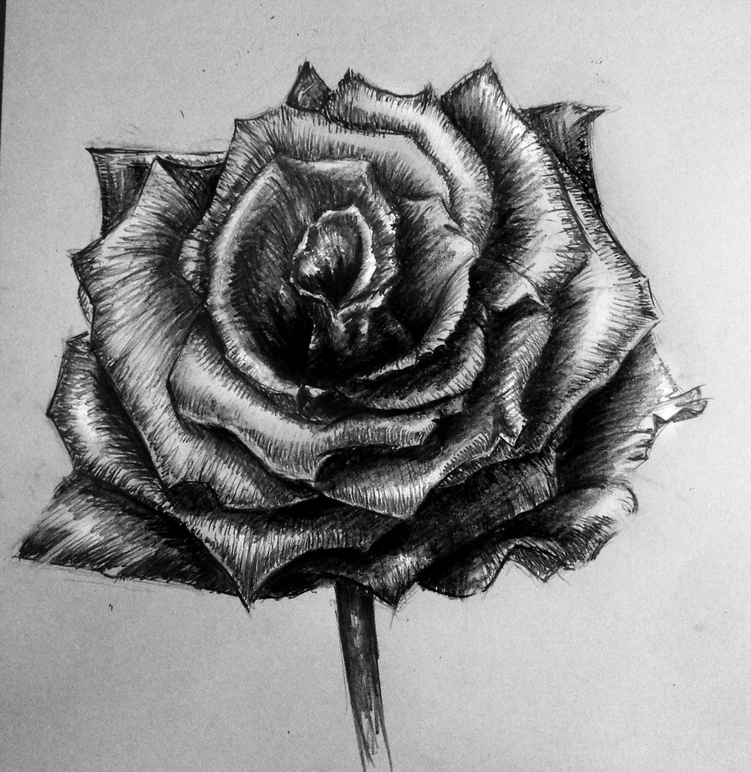 Shaded Flower Drawing at Explore collection of