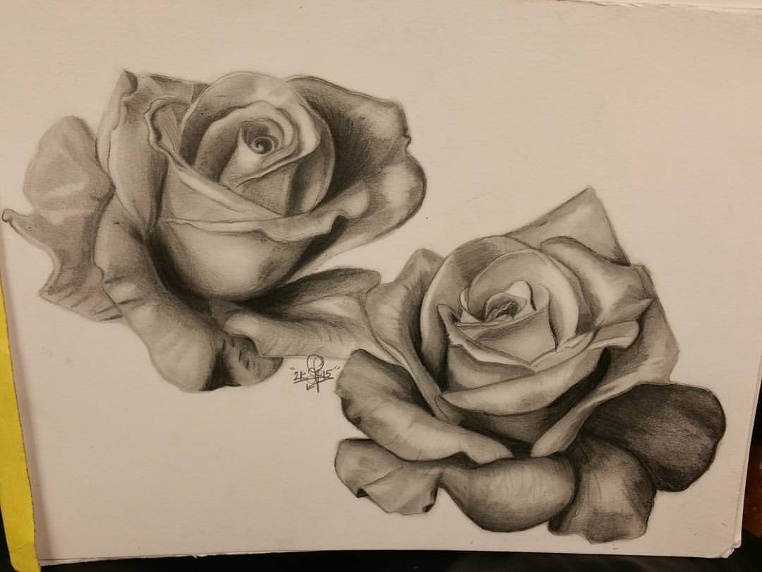1080x810 Flower Drawing With Shading And Flowers Pencil Shading Drawing - Shaded Rose Drawing