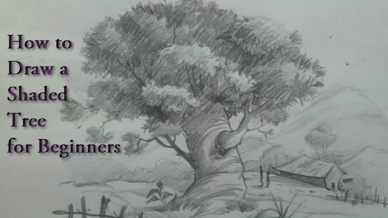 1280x720 How To Draw A Shaded Tree With Landscape For Beginners - Shaded Tree Drawing