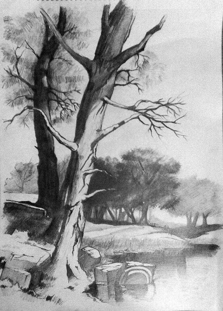 736x1022 Nature Drawing - Shading Drawing Images