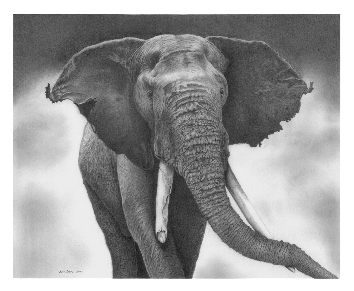 1224x1008 light and shadow the art of pencil drawing - Shadow Art Drawing