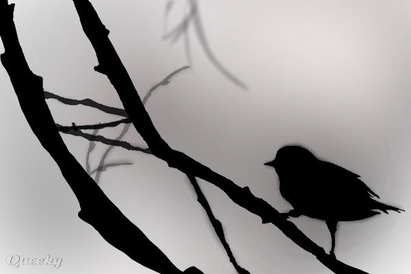 600x400 shadow photo drawing drawing skill - Shadow Drawing