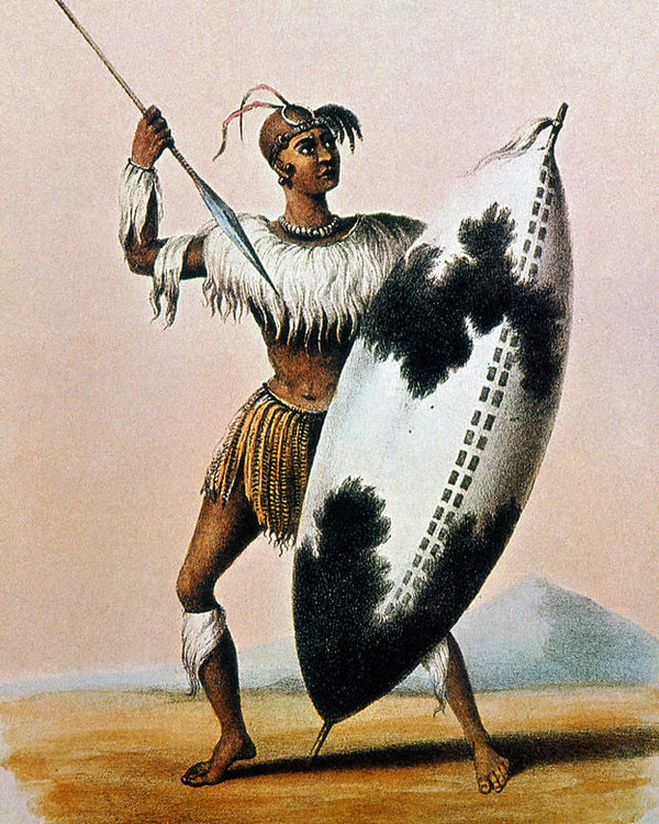 600x750 shaka zulu - Shaka Zulu Drawing