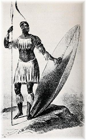 300x487 the zulu wars - Shaka Zulu Drawing