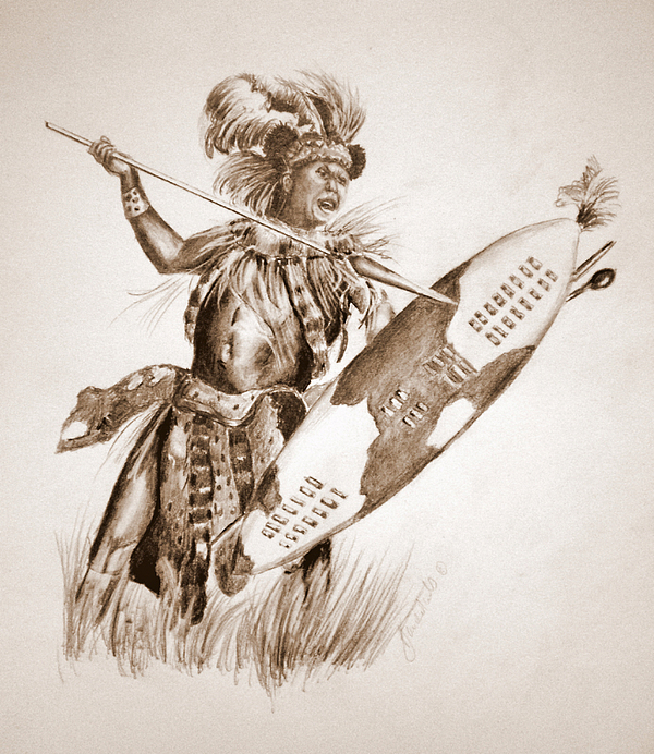 600x692 zulu warrior art best art - Shaka Zulu Drawing