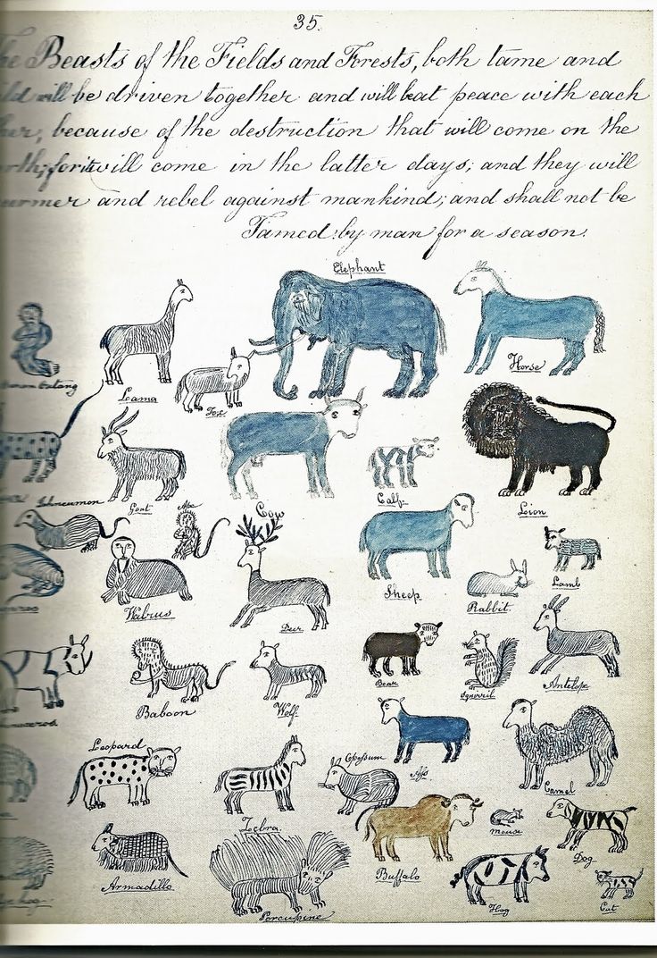 736x1072 shaker gift drawings - Shaker Drawings