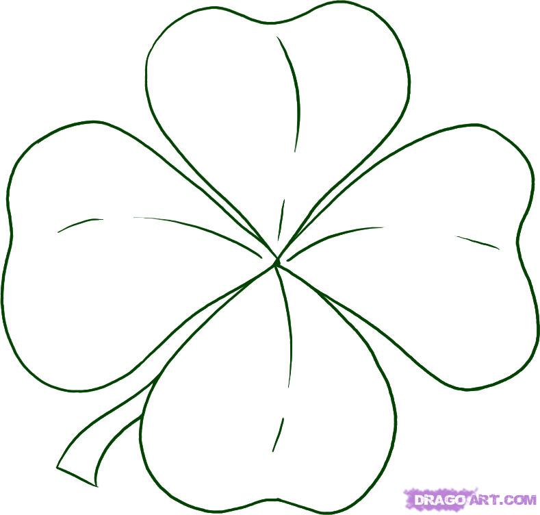 789x752 how to draw a clover, step - Shamrock Drawing