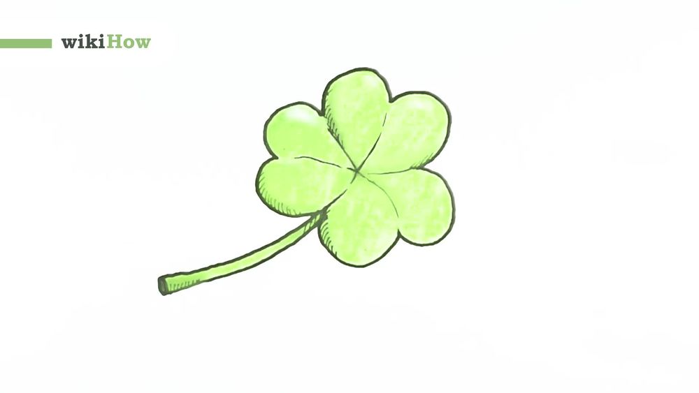 1000x563 how to draw a clover steps - Shamrock Drawing