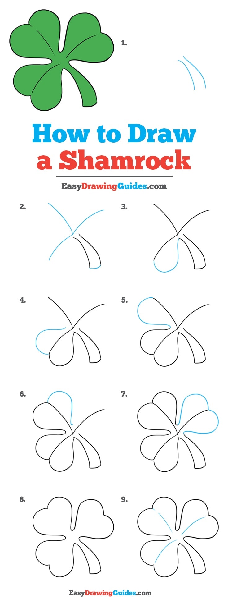 736x1950 how to draw a shamrock - Shamrock Drawing