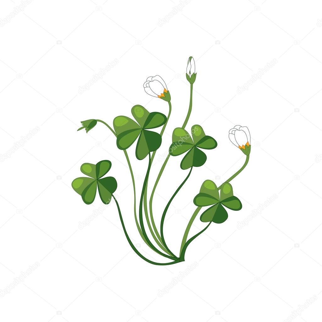1024x1024 image result for shamrock drawing easter drawings, plants - Shamrock Drawing
