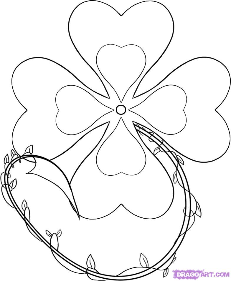 784x955 how to draw a shamrock, step - Shamrock Line Drawing