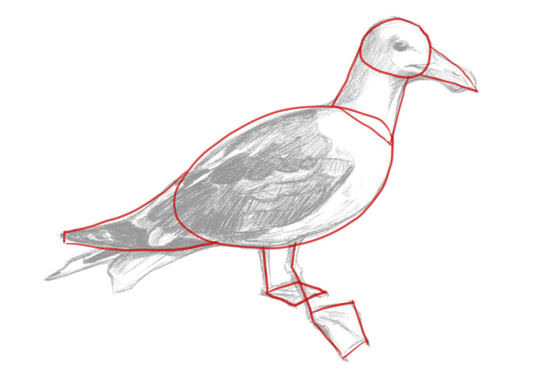 800x542 Drawing - Shapes Drawing