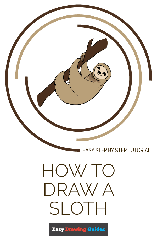 600x900 How To Draw A Sloth - Share Drawing