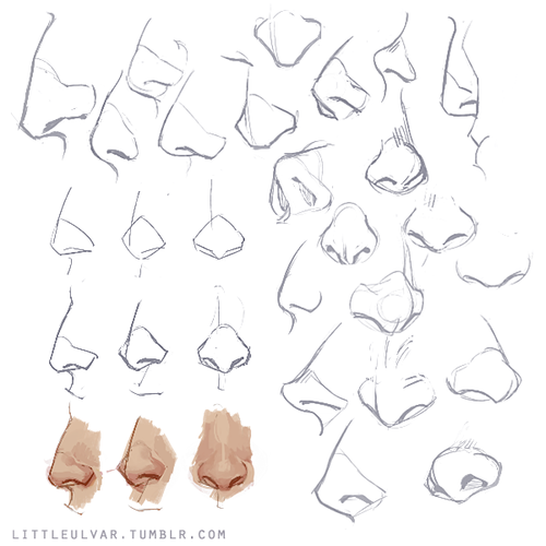 500x500 x noses aren't my forte but x let me just share some basics - Share Drawing