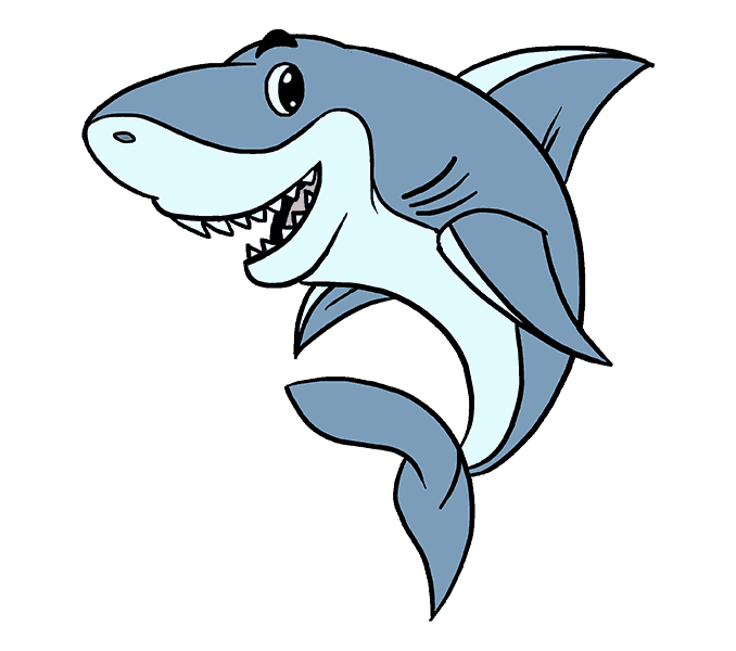 678x600 How To Draw A Cartoon Shark Easy Step - Shark Drawing. 