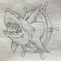 236x236 How To Draw A Shark Head Step Projects To Try - Shark Drawing