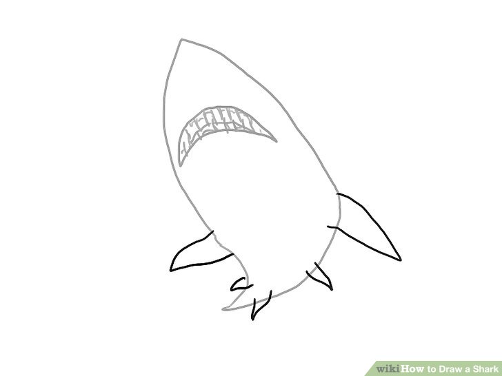 728x546 Ways To Draw A Shark - Shark Drawing Cartoon