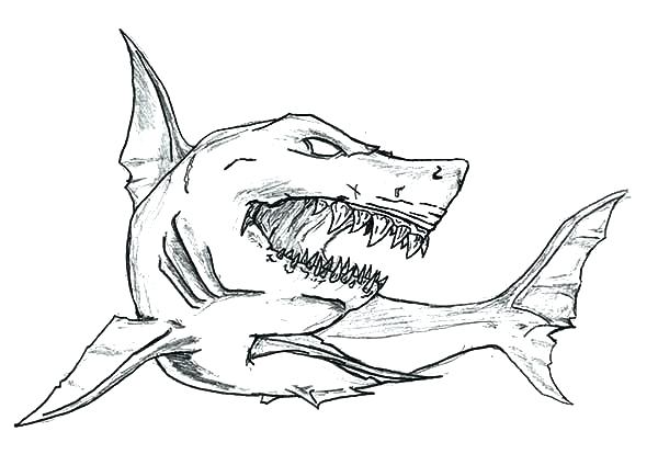 600x414 shark draw drawing outline johnclarkson - Shark Drawing Cartoon