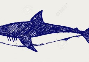 300x210 shark drawing cartoon how to draw a cartoon shark - Shark Drawing Cartoon