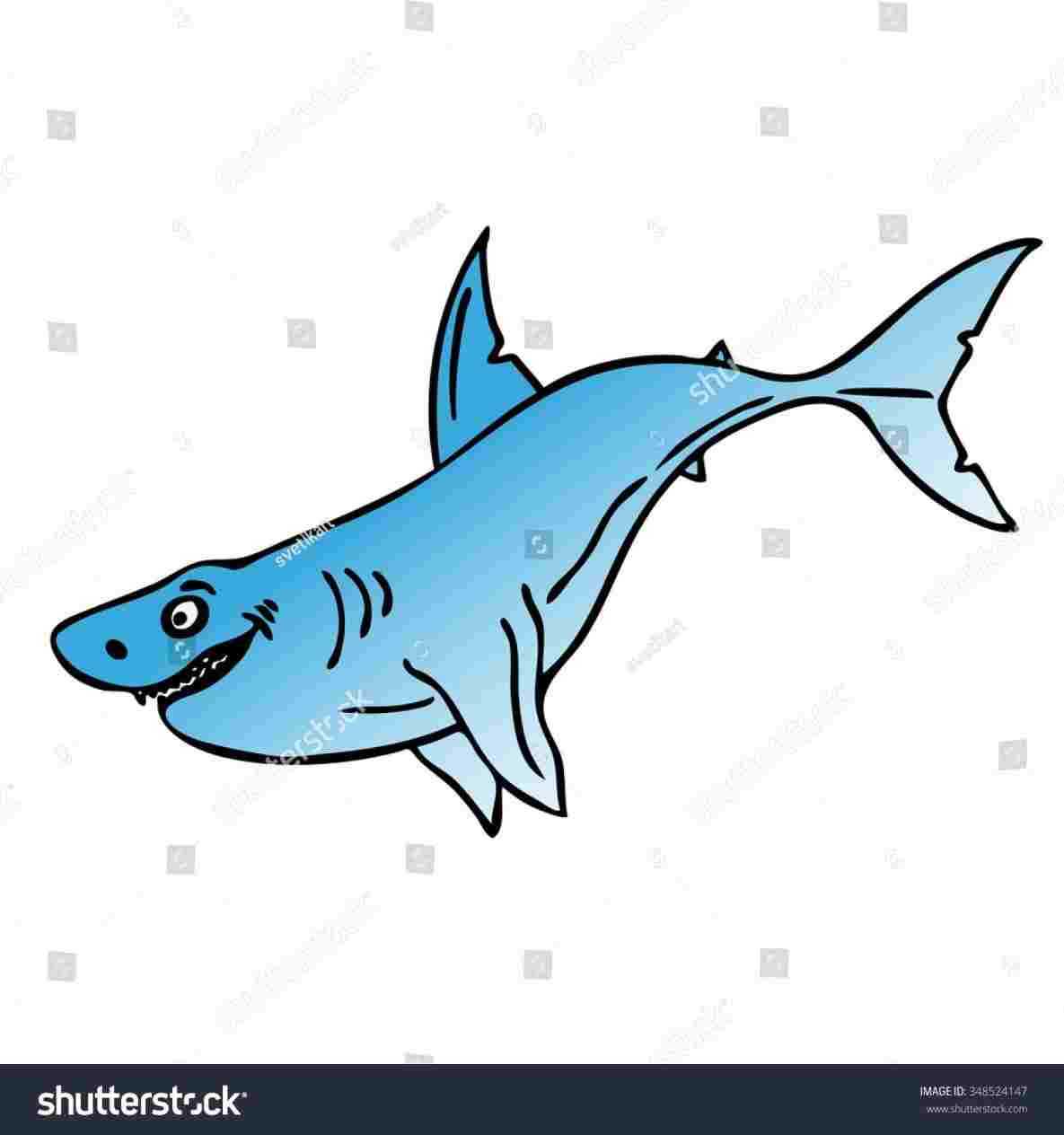 1185x1264 Drawing Cartoon Drawing Cartoon Transprent Png Free Download - Shark Drawing Cartoon