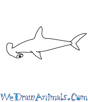 300x350 how to draw a hammerhead shark - Shark Drawing Easy