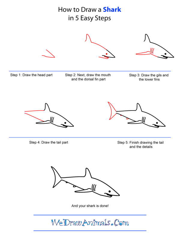 600x776 How To Draw Shark Art - Shark Drawing Easy