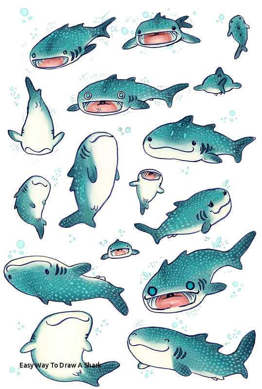 539x800 Easy Way To Draw A Shark Whale Sharks - Shark Drawing Easy