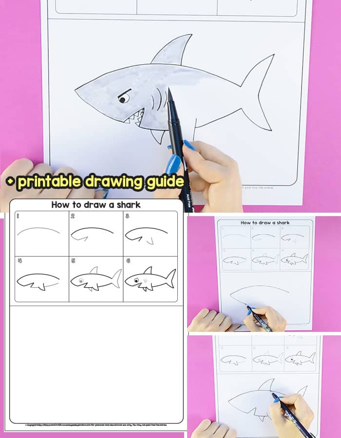 700x900 How To Draw A Shark - Shark Drawing For Kids