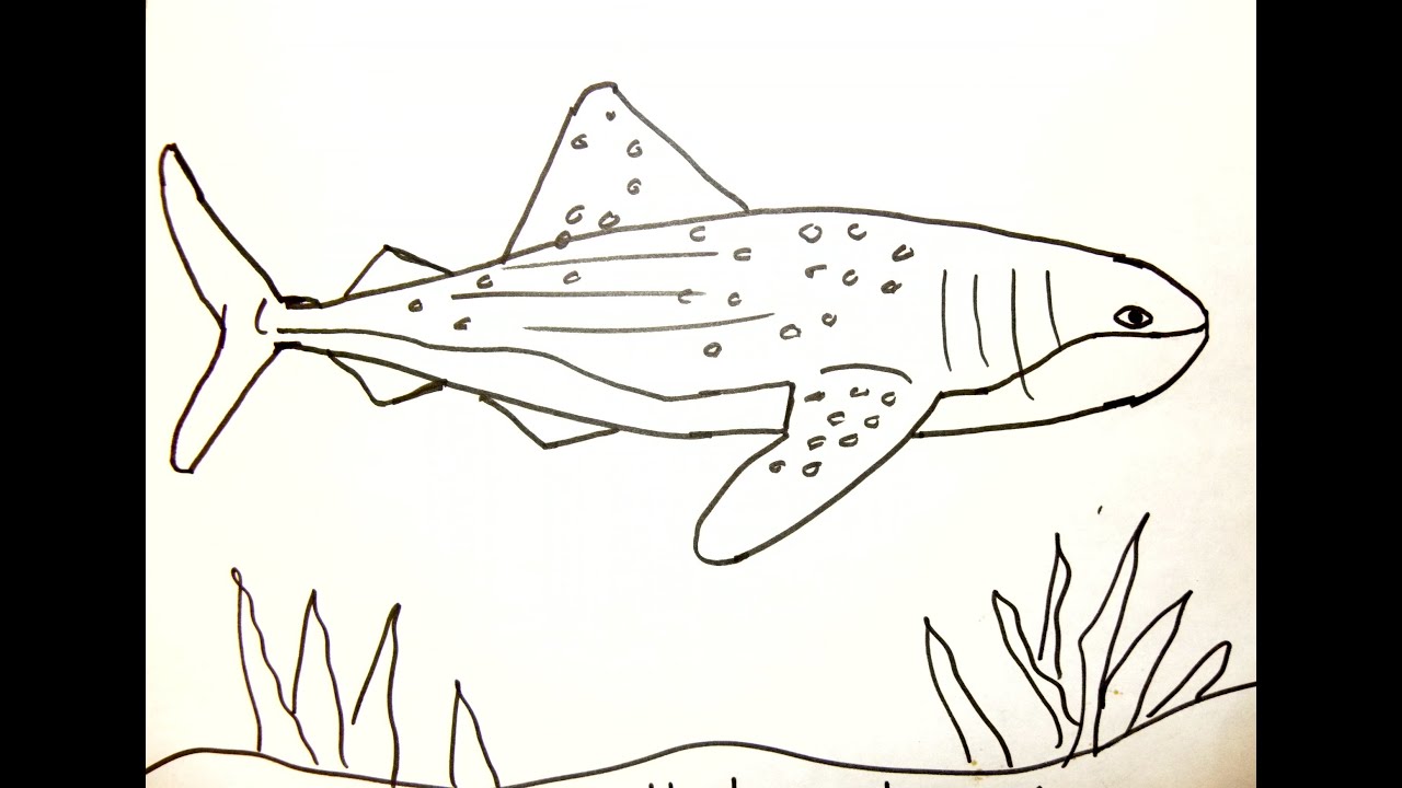 1280x720 Kids Can Draw Whale Shark - Shark Drawing For Kids