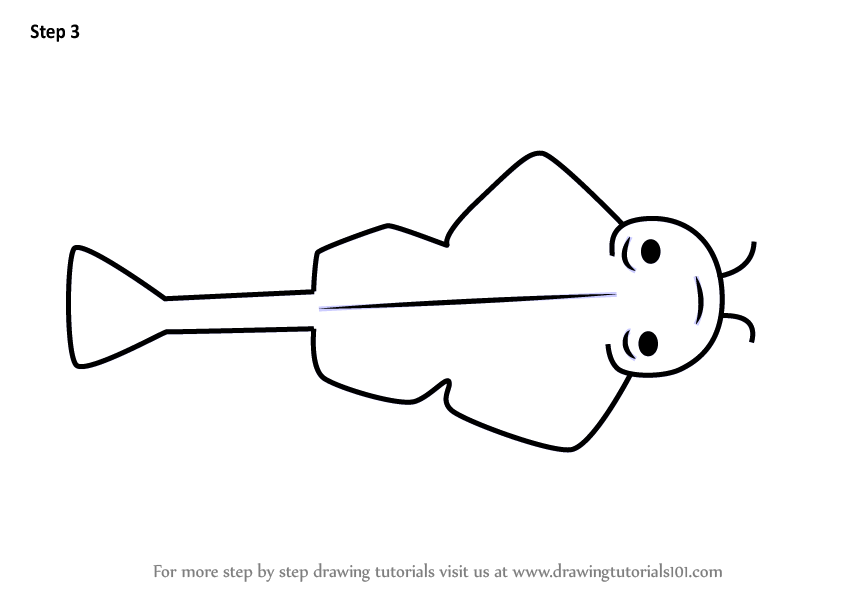 844x598 Learn How To Draw An Angel Shark For Kids - Shark Drawing For Kids