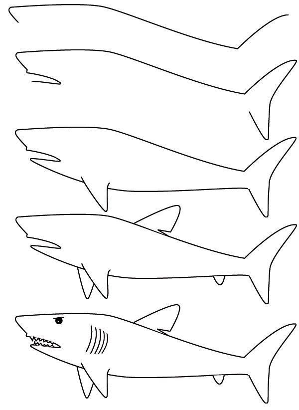 600x822 Kids Learning To Draw Drawings, Shark Drawing - Shark Drawing For Kids