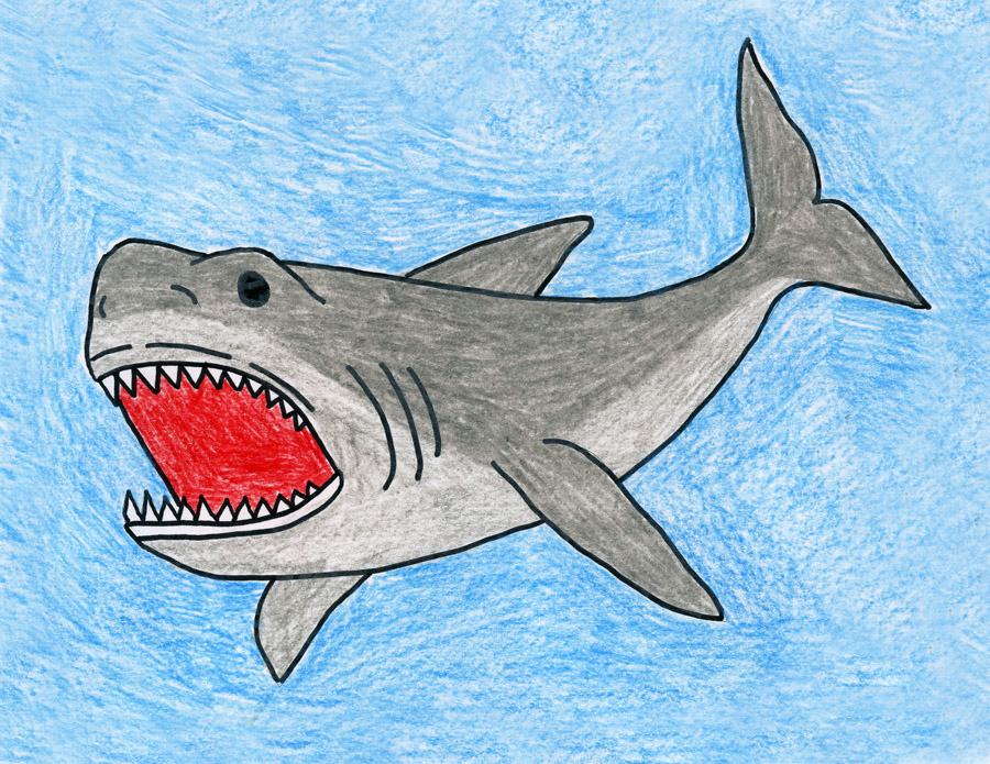 900x695 draw a megalodon shark art projects for kids - Shark Drawing For Kids