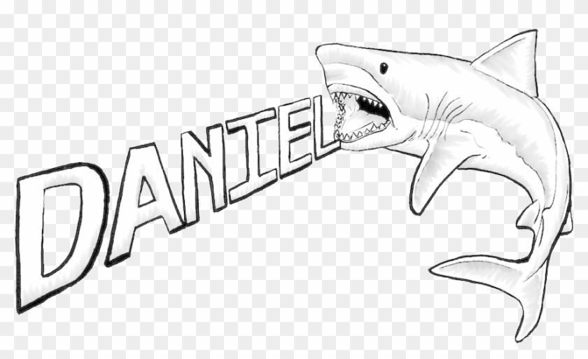 840x513 Great White Shark Drawing - Shark Drawing Images