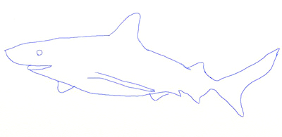 400x195 How To Draw A Realistic Shark - Shark Drawing Images