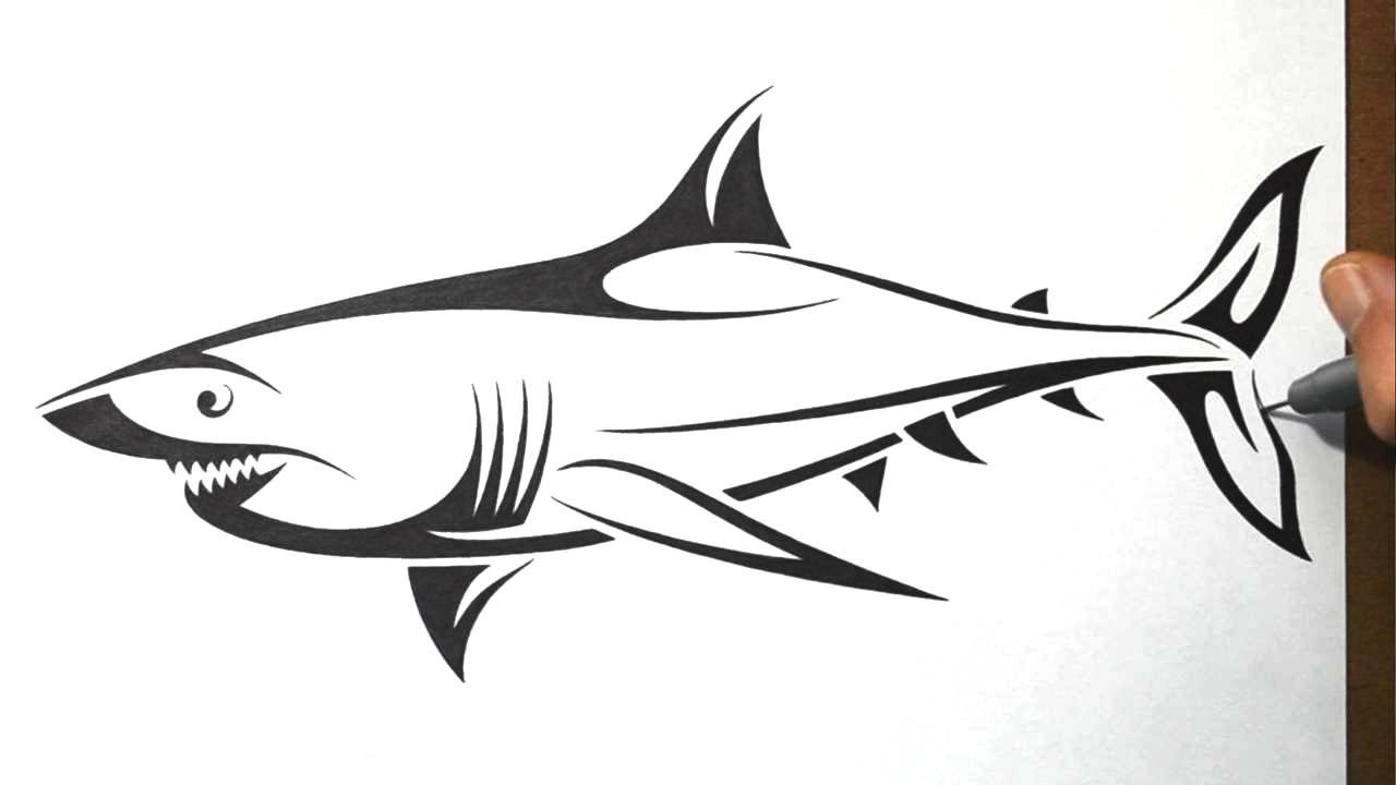 1280x720 How To Draw A Shark - Shark Drawing Images