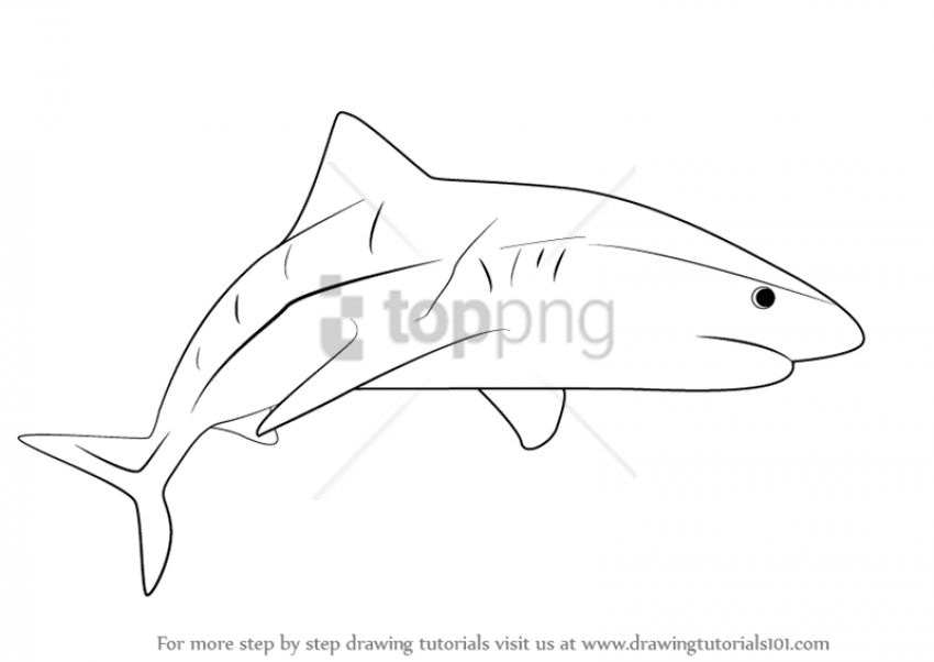 850x602 Shark Drawing Png Image With Transparent Background Toppng - Shark Drawing Images