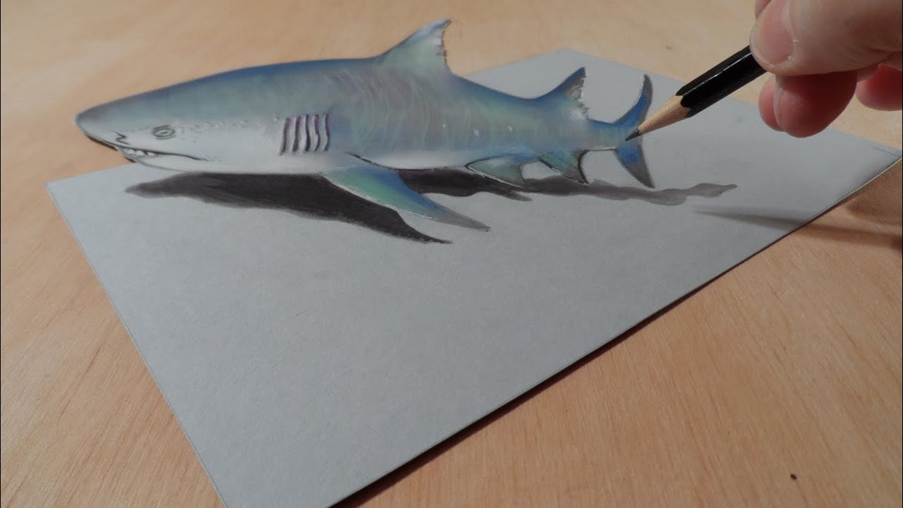 1280x720 drawing a gray shark, trick art amazing animals - Shark Drawing Images