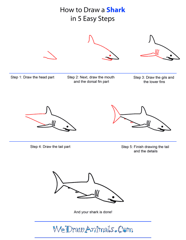 600x776 How To Draw A Shark - Shark Drawing Step By Step