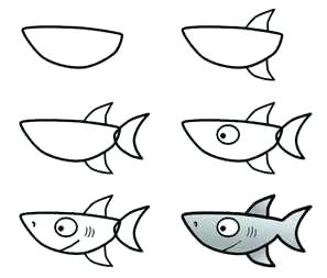 297x253 How To Draw Shark Step - Shark Drawing Step By Step