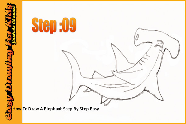 600x400 How To Draw A Elephant Step - Shark Drawing Step By Step