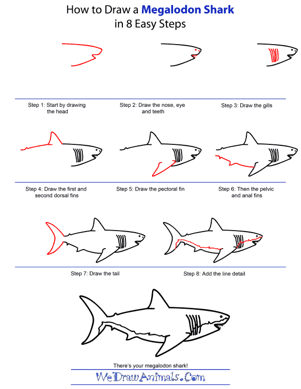 600x776 How To Draw A Megalodon Shark - Shark Drawing Step By Step