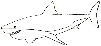 400x185 How To Draw A Shark - Shark Drawing Step By Step