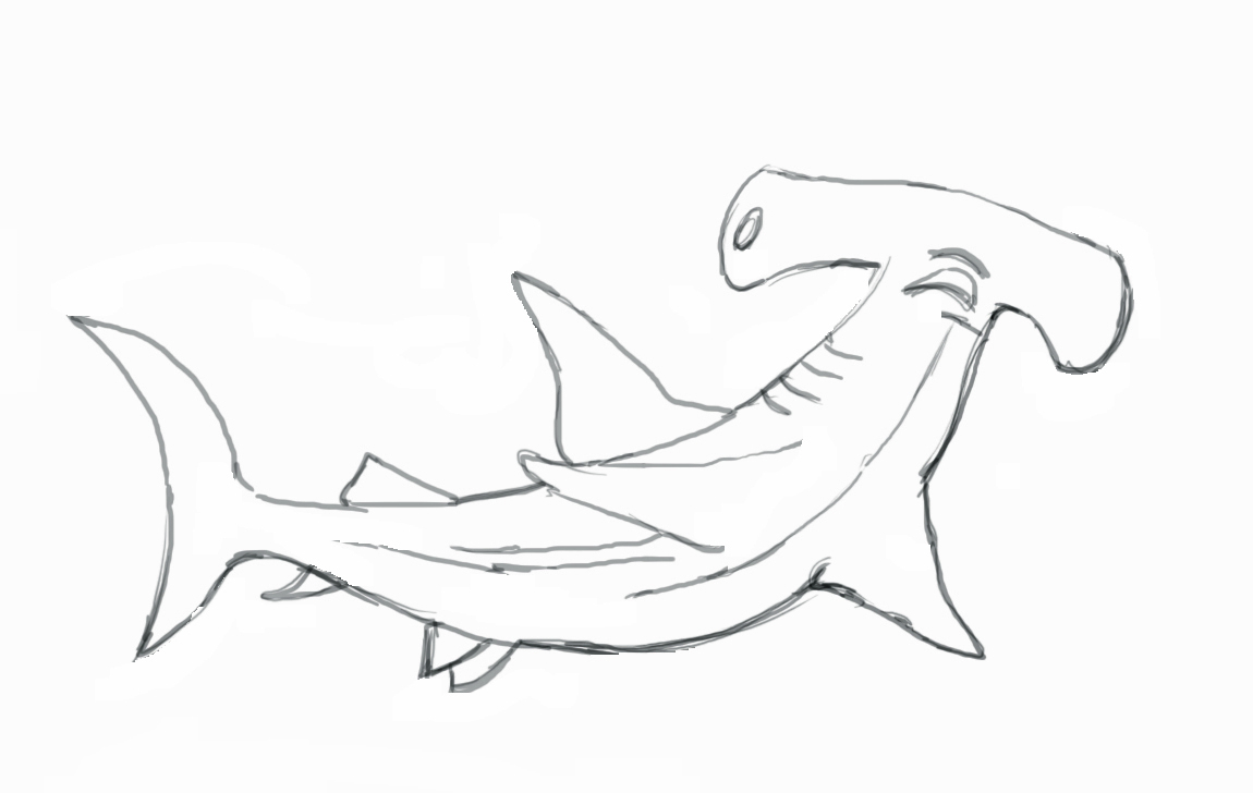 1150x728 Shark Drawing Step - Shark Drawing Step By Step